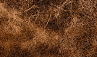 皮草是什么材质（皮草是什么材质做的）