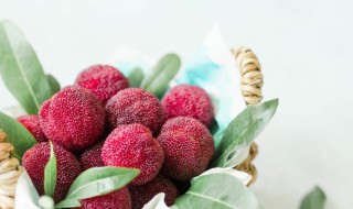 杨梅里的小白虫能吃吗 杨梅里的小白虫能吃吗题目