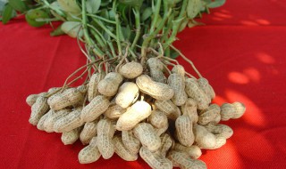 大量花生去壳小窍门（如何快速花生去壳）