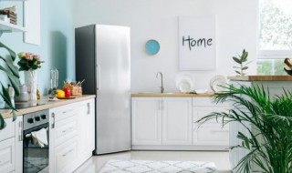 冰箱保护膜怎么撕干净小窍门 冰箱的保护膜怎么撕干净