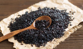 煮黑米易烂的窍门（煮黑米容易烂窍门）