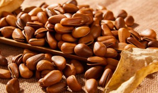 松子如何开口最佳方法 如何让松子开口