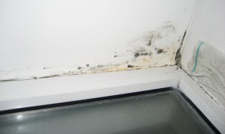 墙面发霉处理妙招有哪些 墙面发霉怎么处理妙招