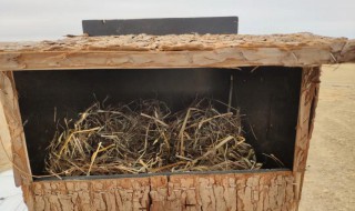 蚂蚁森林人工鸟巢有什么作用 蚂蚁森林人工鸟巢的作用