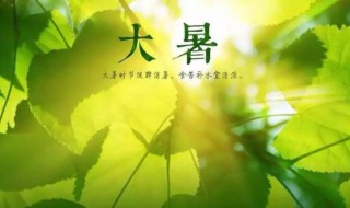 2021大暑是农历几月几日 2021大暑是几月几日到几月几日