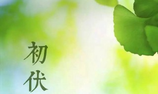 2021年初伏是哪一天（2021年初伏是哪一天?）