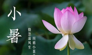 小暑是初伏吗 小暑是入伏吗