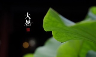 大暑要注意什么 大暑要注意什么事项