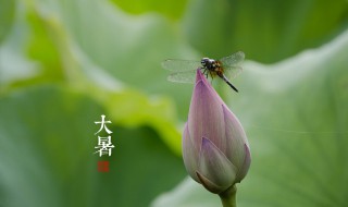 大暑过后还热吗（大暑之后还热吗）