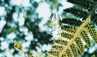 小暑是哪天2021（小暑是哪天哪时）