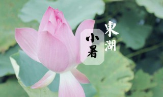 2021年小暑时间是几月几号 2021年小暑的具体时间