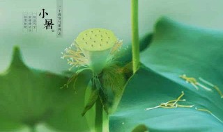 2021小暑节气的禁忌（2021年处暑节气）