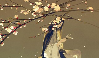 4字古风昵称（好听的昵称四字古风）