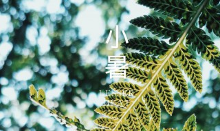 小暑是入伏第一天吗2021 小暑是入伏第一天吗入伏原来是这一天