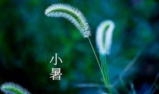 2021年小暑是什么时候（2021年小暑是什么时候?）