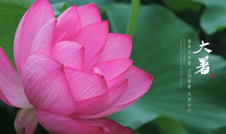 2021年大暑是几月几日 2021年大暑是几月几日星期几