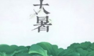 大暑是哪一天2021（2021年大暑是哪一天）