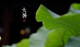 关于大暑的谚语有哪些（关于大暑的谚语有哪些呢）