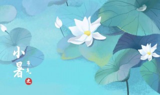 2021小暑节气的含义是什么意思（2021年大暑过后是什么节气）