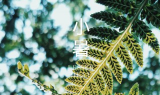 小暑时间代表什么? 小暑的意思和时间