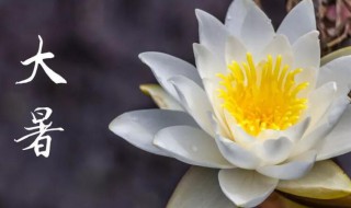 2021年大暑多少天 2021年大暑多少天?