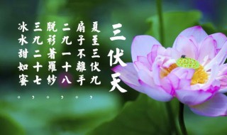 初伏热还是中伏热 初伏热还是末伏热