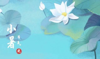 小暑忌讳什么（小暑有什么是禁忌吗）