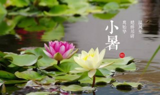 2021小暑大暑是什么时间 2021年大小暑