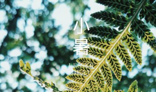 节气小暑是什么意思? 小暑是啥节气