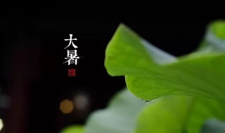 2021牛年大暑节气搬家好不好 2021年小暑出生的牛好不好