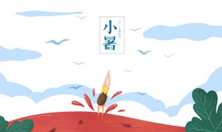 小暑种什么蔬菜（小暑种什么蔬菜比较好）