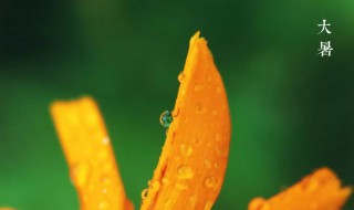 2021年大暑时间（2021年大暑时间?）