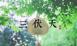 2021年三伏天时间表共多少天（今年三伏天时间表2021多少天）