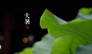 大暑过后是什么节气（大暑之后的节气是什么）