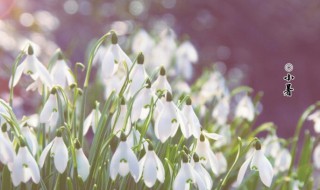 节气小暑一共多少天 节气小暑一共多少天了