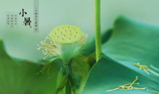 小暑是伏天吗（小暑和伏天有什么区别）