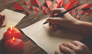 无犯罪记录证明（无犯罪记录证明网上查询）