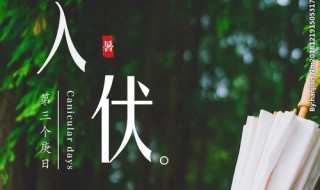 入伏时间怎么算 入伏怎么算起