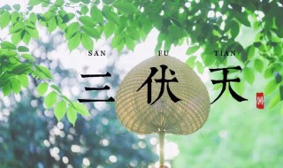 2021年初伏是几月几日（2021年末伏是几月几日）