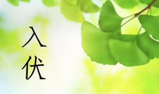 2021哪天入伏哪天出伏（2021年哪天入伏哪天入伏）