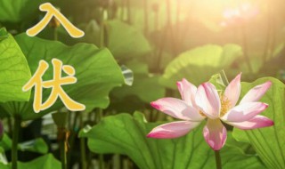 入伏时间2021 入伏时间2020几点几分