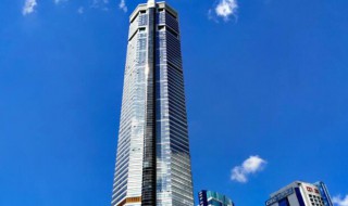 赛格大厦什么时候建的（赛格大厦几几年建成）