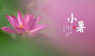 2021年小暑节气意思的简单说明（2021小暑节气农历几月几时）