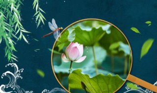 大暑养生要点离不开粥和水（大暑煮什么粥）