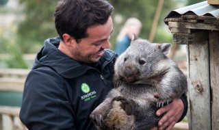 动物园野生动物咬死人怎么赔（动物园咬伤人）