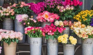 花束怎么能在水里养的时间更长?（花束水里放什么好）