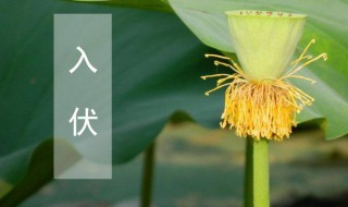 几号入伏2021 几号入伏2021时间表几点