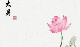 大暑时辰的具体时间 大暑时辰的具体时间表