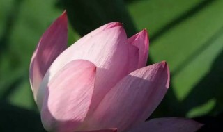 什么时候开始入伏天 什么时候入伏天2021