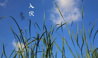 头伏是几月几号2021年（头伏是几月几号2021年二伏）